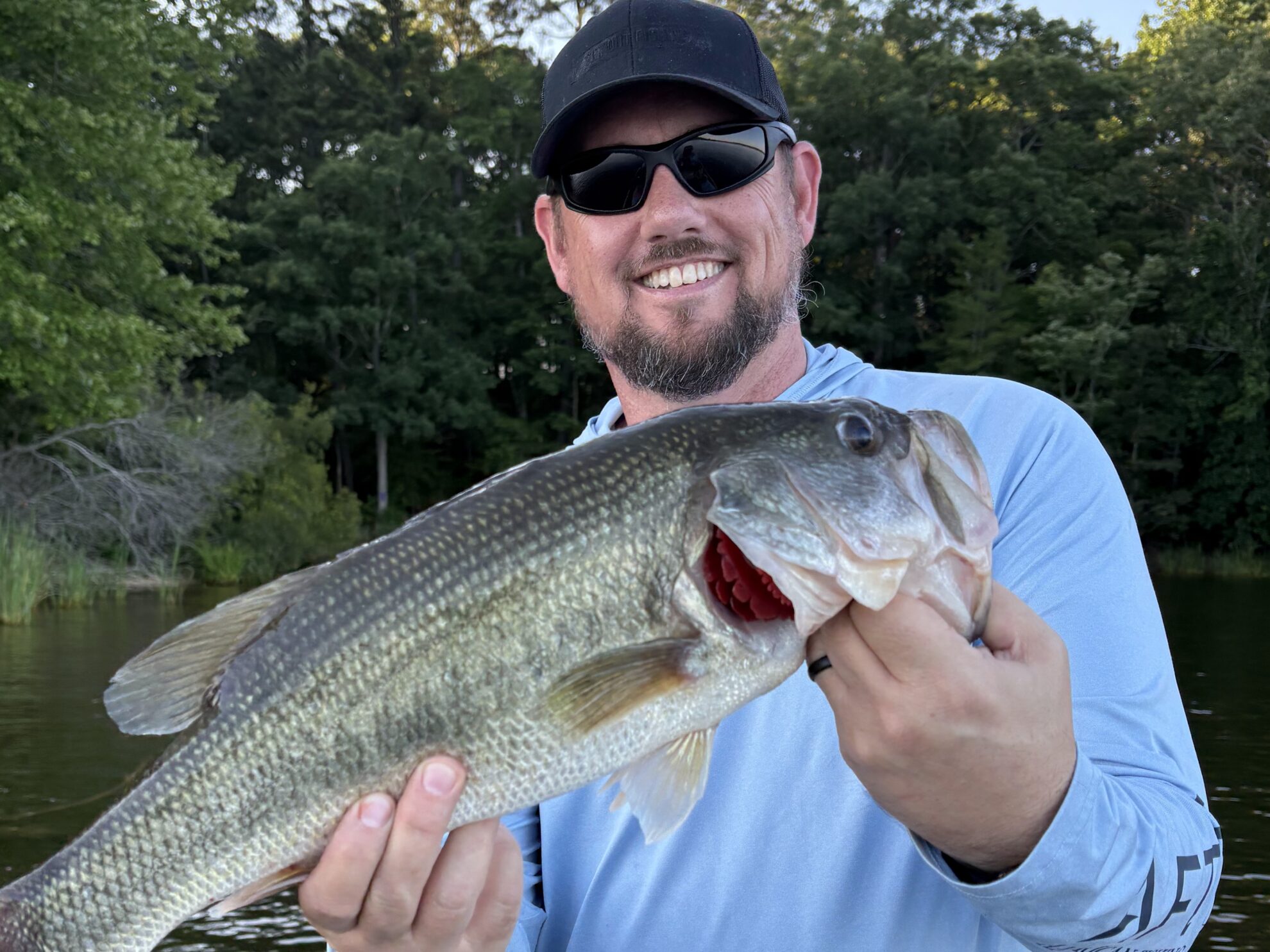From Cold to Hot: Targeting Bass Based on Water Temperature