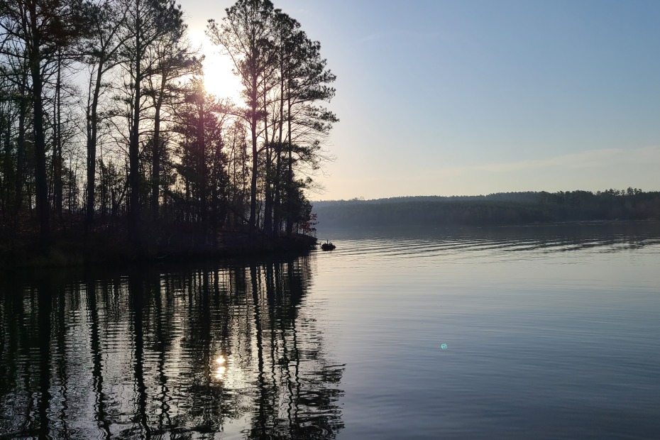 Fishing, perspective, life, beauty